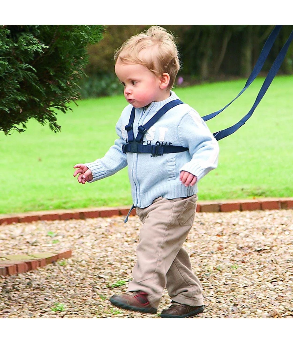 Clippasafe Taubeisli