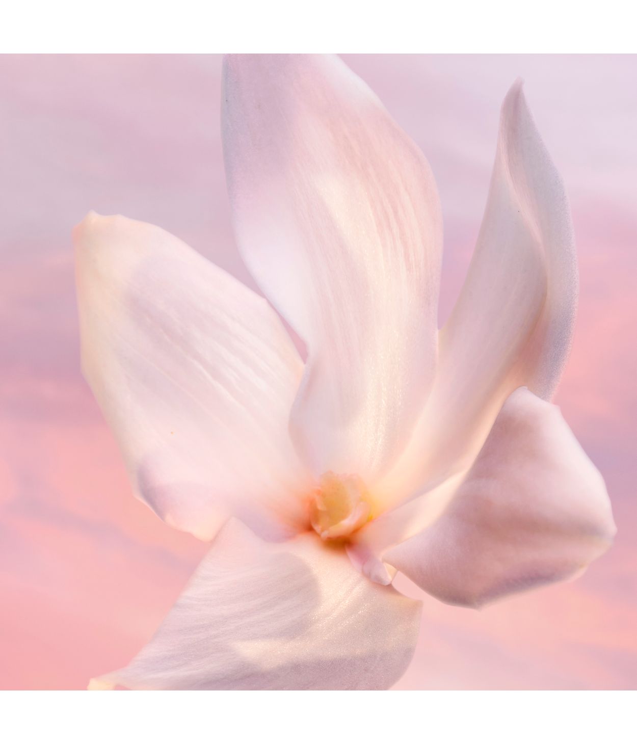 LANCOME La Vie Est Belle Vanille Nude EDP