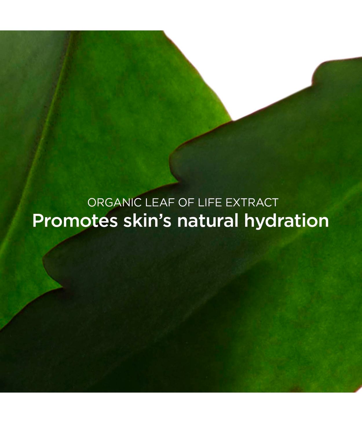 CLARINS Fresh Scrub 50ml