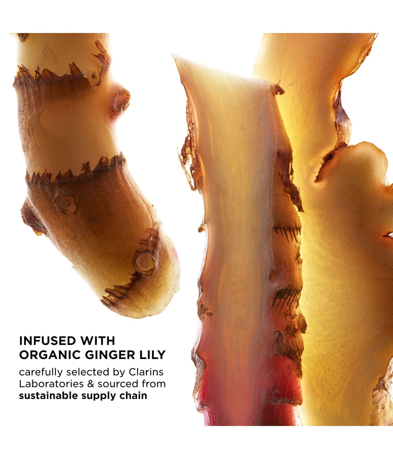 CLARINS UV Plus Anti- Pollution SPF50