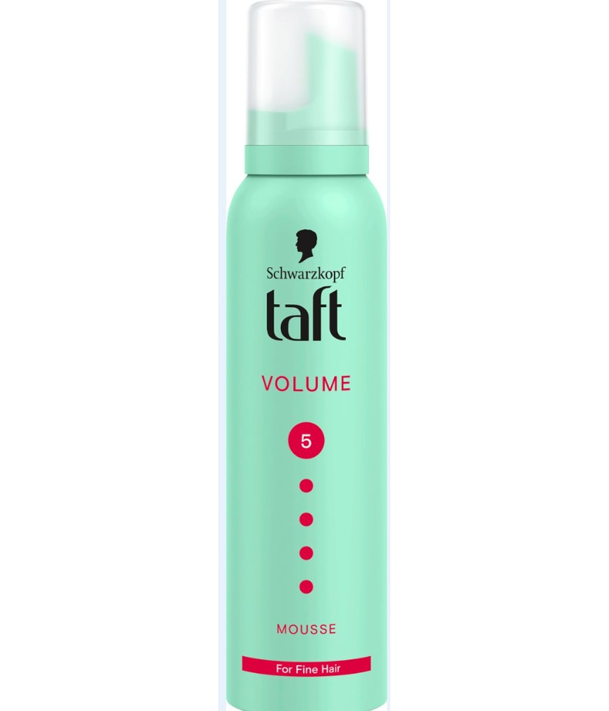 Schwarzkopf Taft Froða 150ml