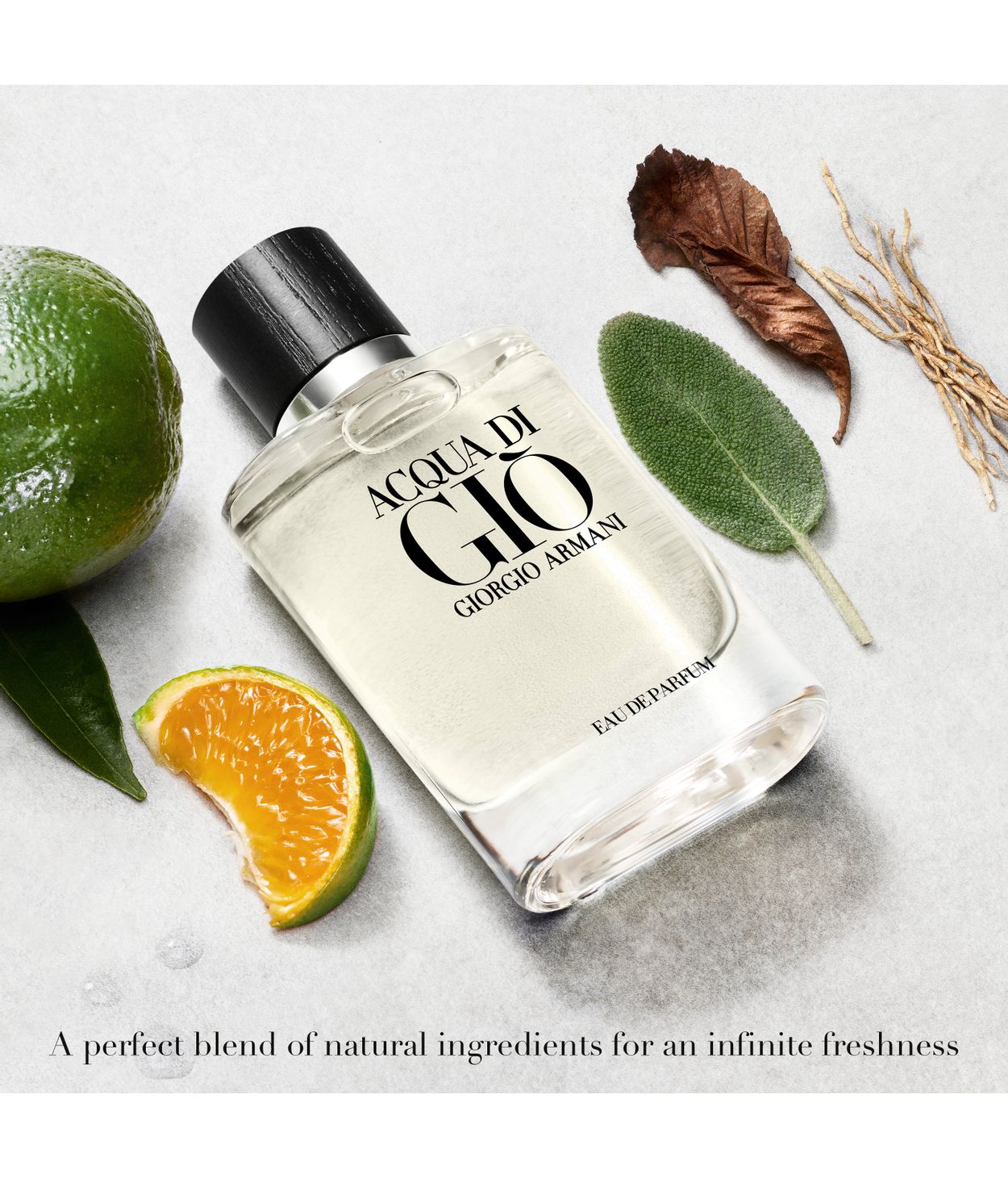 Armani Acqua di Giò Eau de Parfum