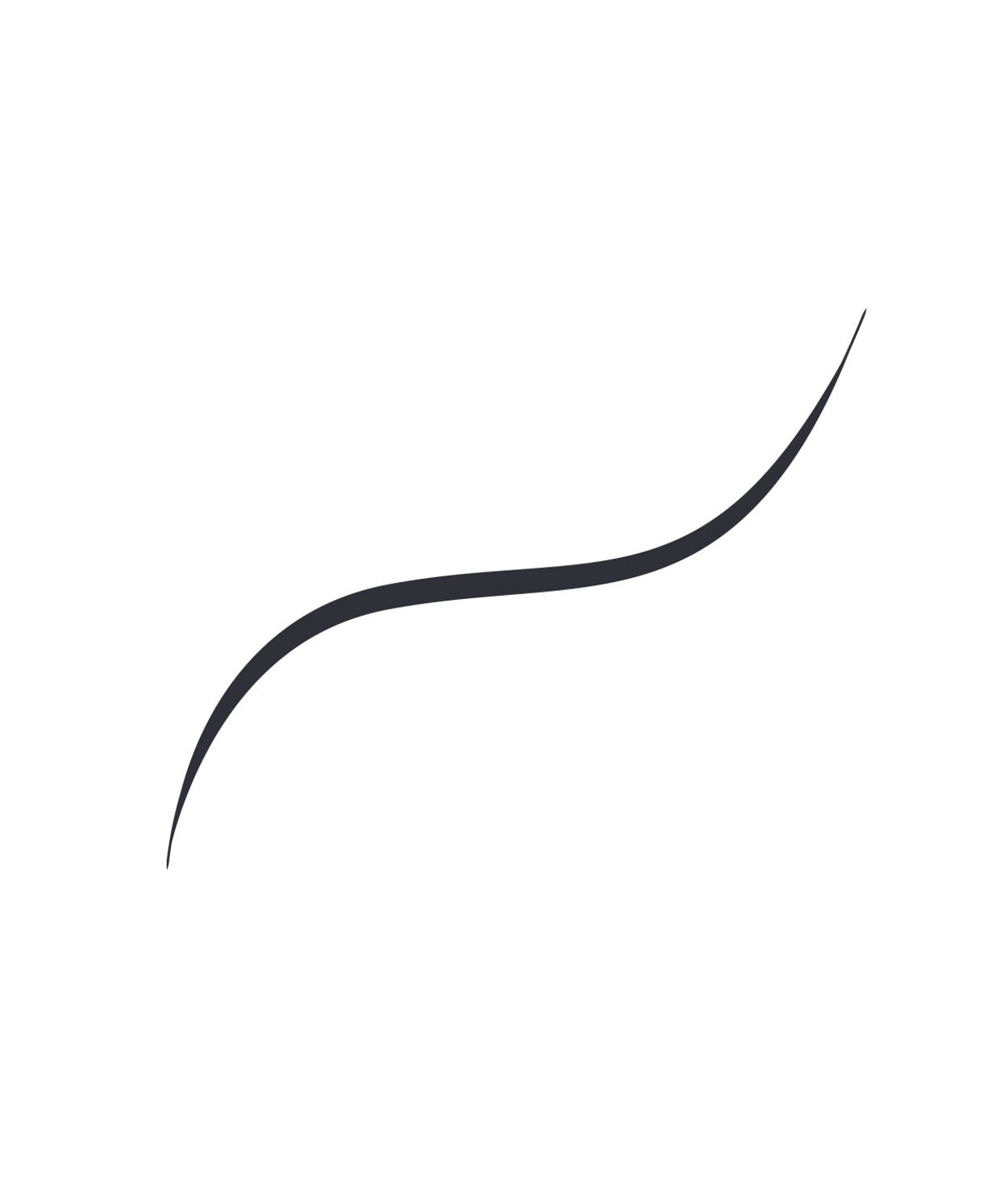 L'ORÉAL Infaillible Grip 36H Micro Liner