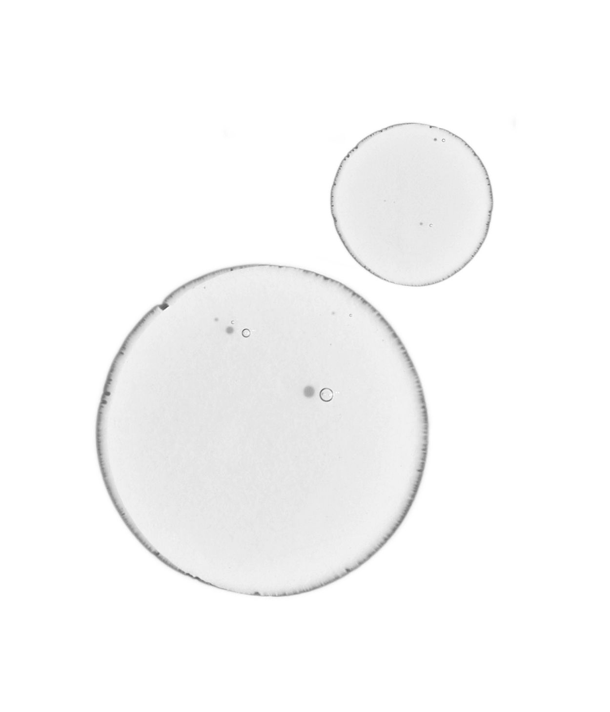 The Ordinary Balancing & Clarifying Serum 30ml