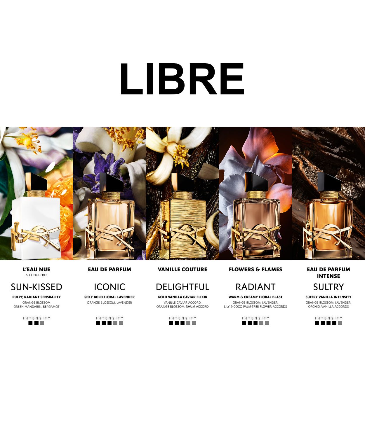 YSL LIBRE Vanille Couture EDP 50ml