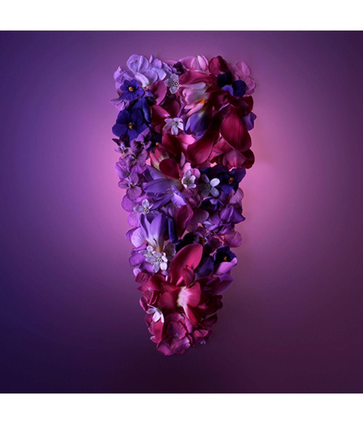 SHISEIDO Ginza Edp Murasaki 50ml