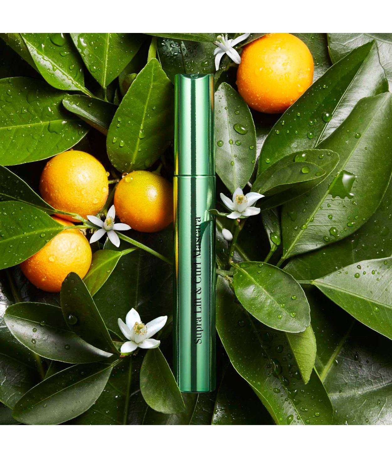 CLARINS Lift and Curl Mascara