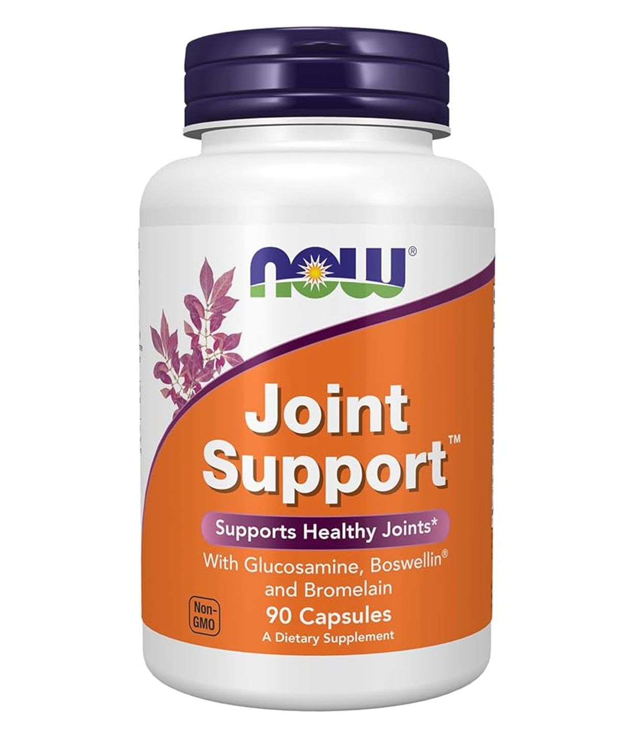 NOW Joint Support 90hylki