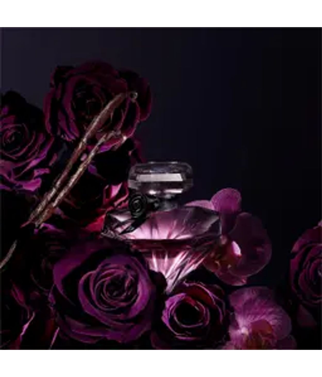 LANCOME Trésor La Nuit edp 50ml