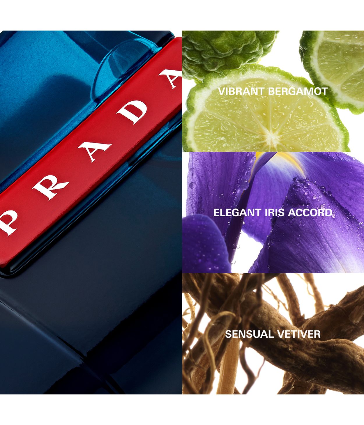 PRADA Luna Rossa Ocean Edt 