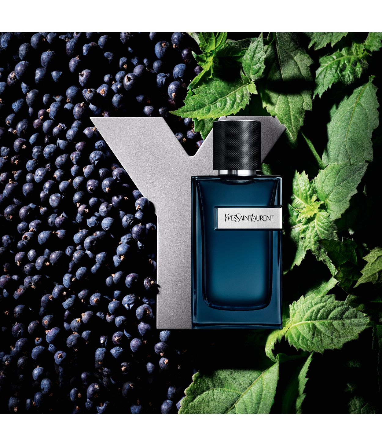 YSL Y Eau de Parfume Intense 60ml