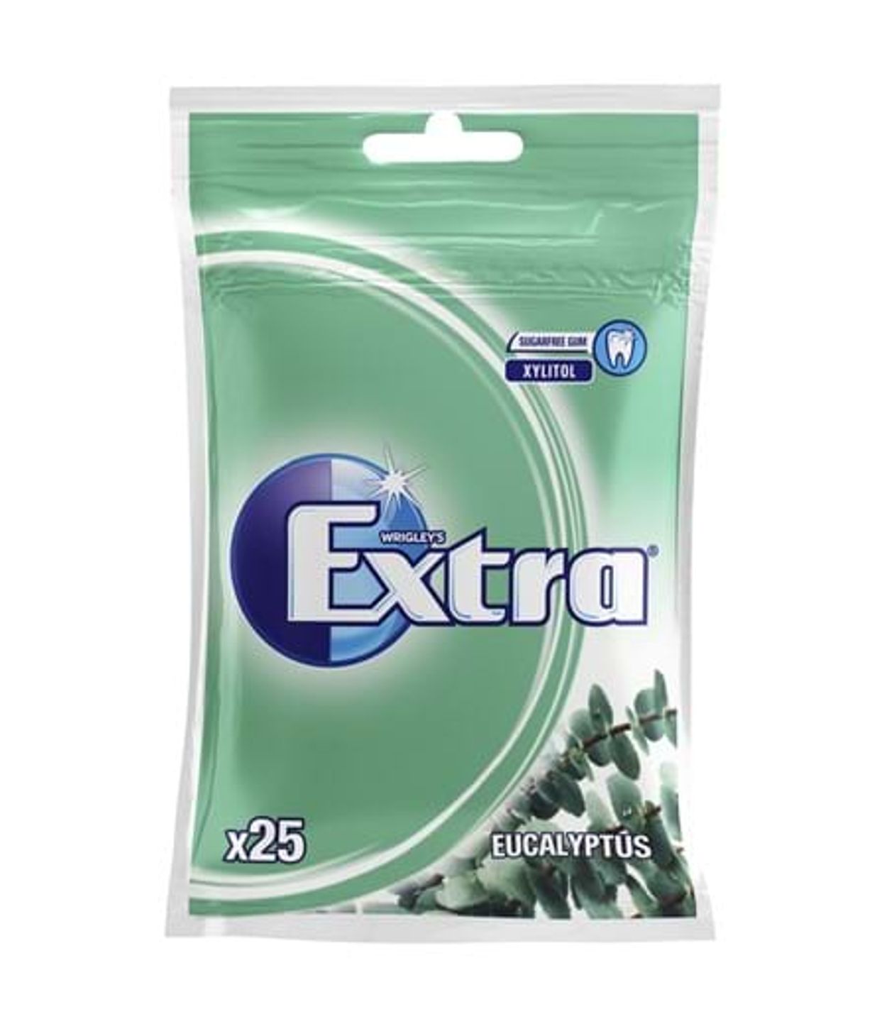 Extra Tyggjó Eucalyptus Poki