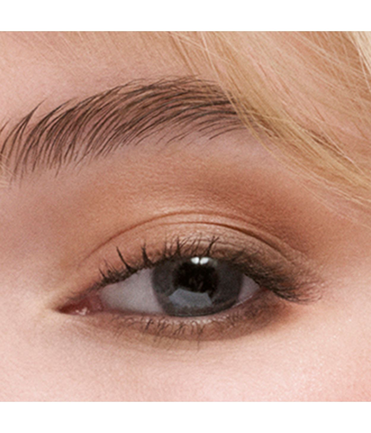 ESTÉE LAUDER Eyeshadow Quad