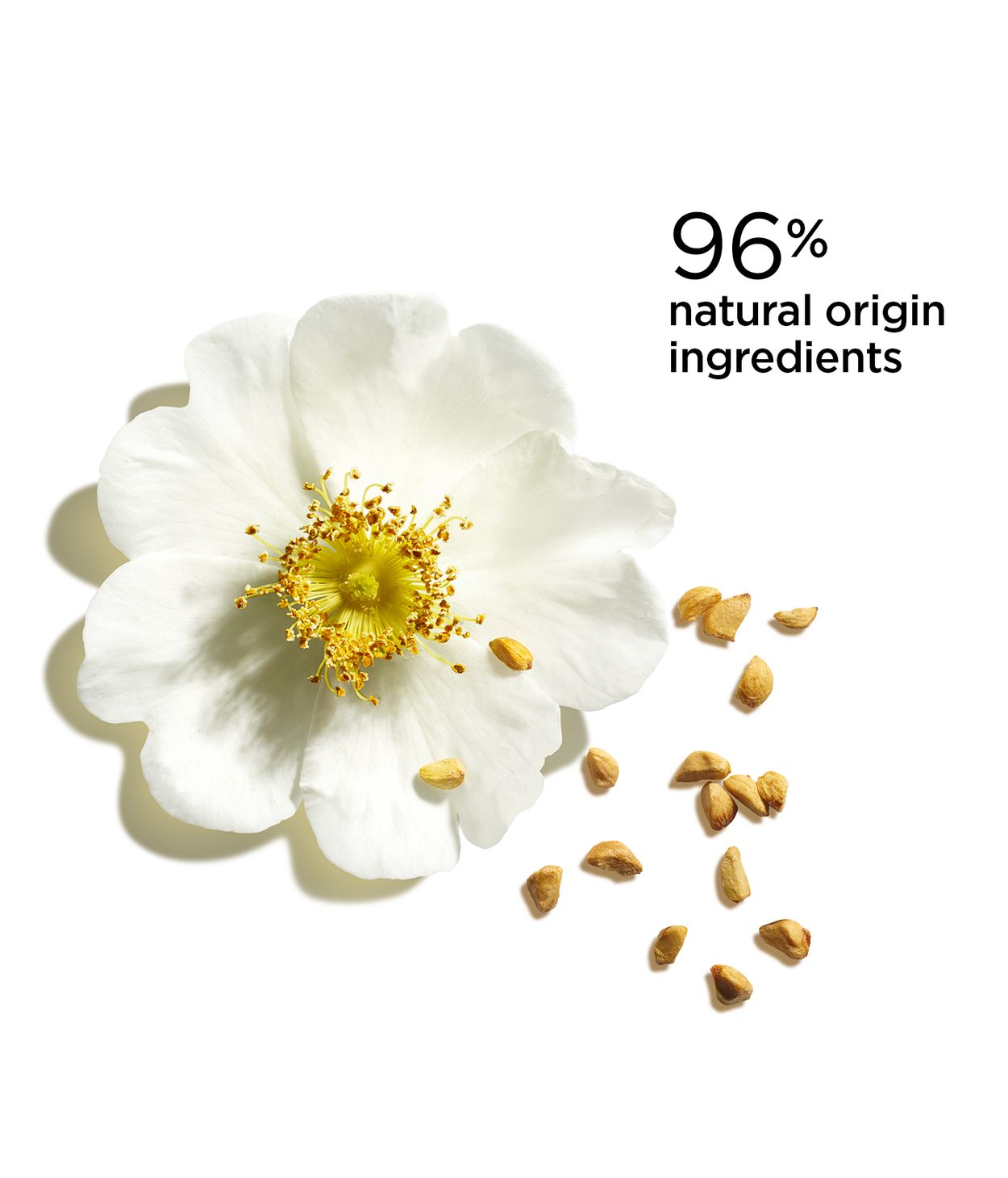 CLARINS Lip Oil Balm