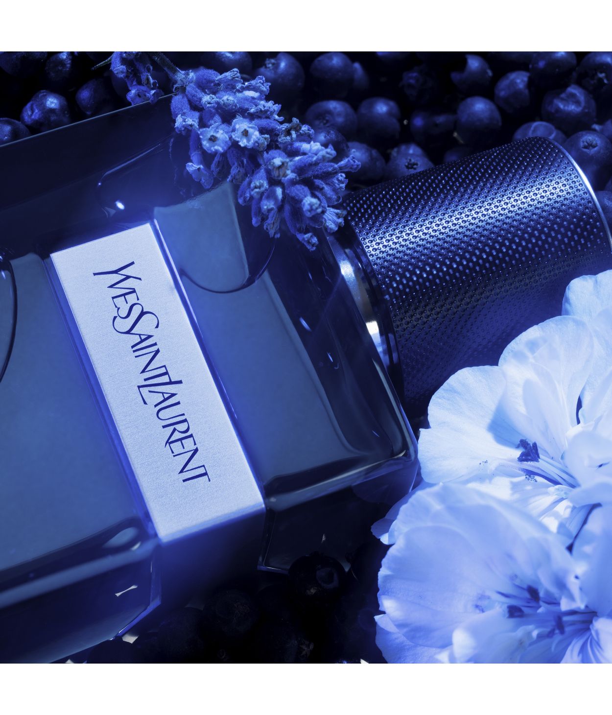 YSL Y Eau de Parfume Intense 60ml