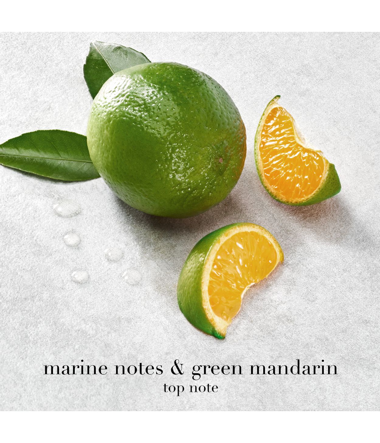 Armani Acqua di Giò Eau de Parfum