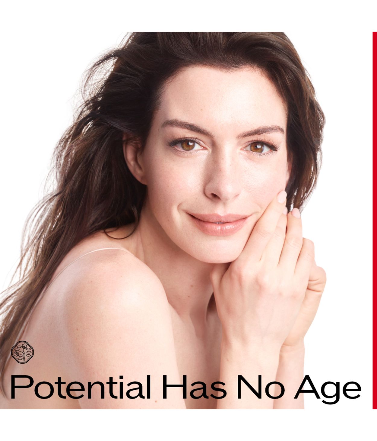 SHISEIDO Vital Perfection Night Concentrate