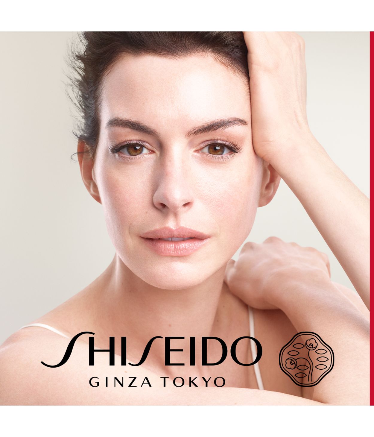 SHISEIDO VPN Advanced Cream 50ml