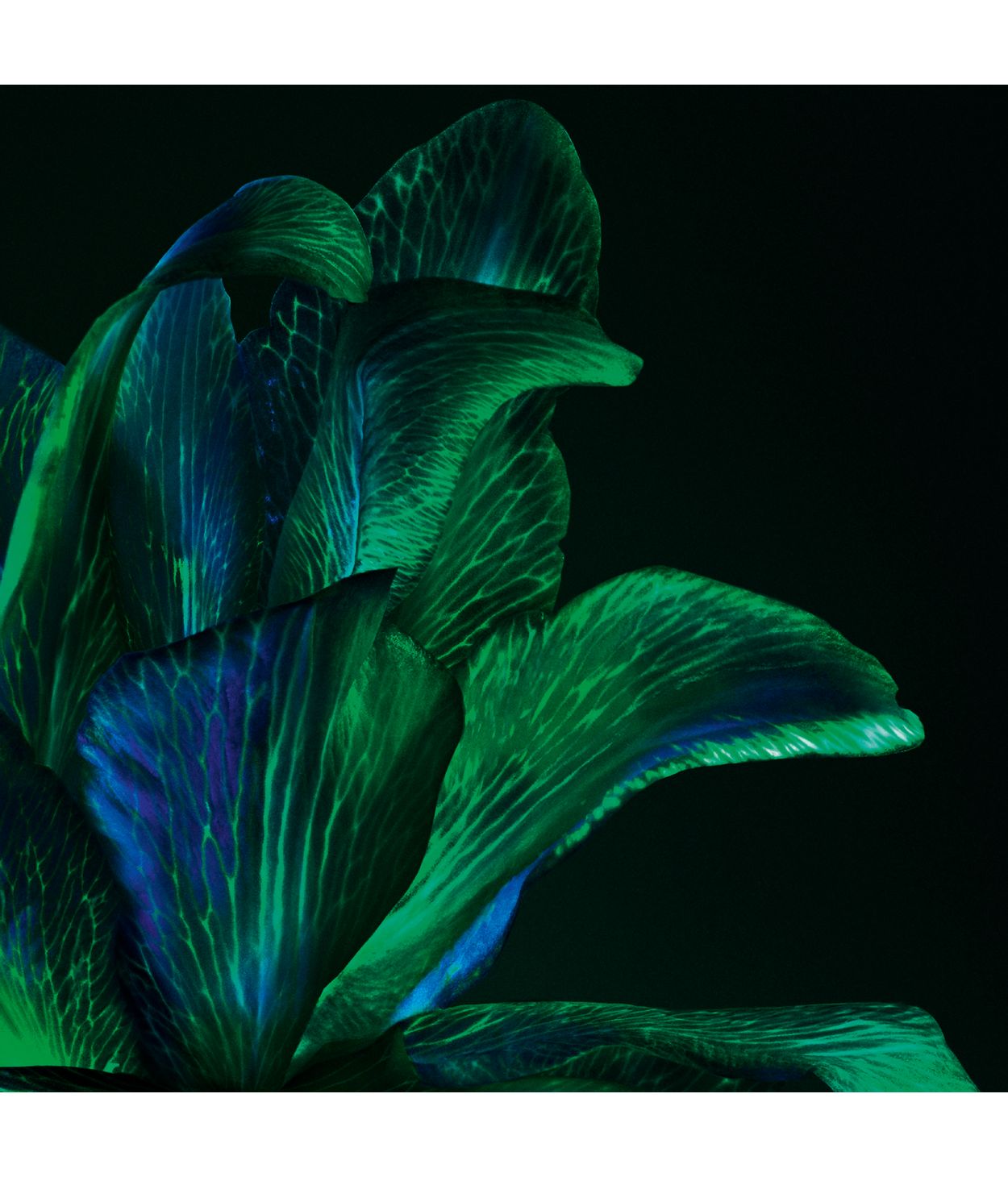 Helena Rubinstein Powercell Skin Rehab Serum 50ml