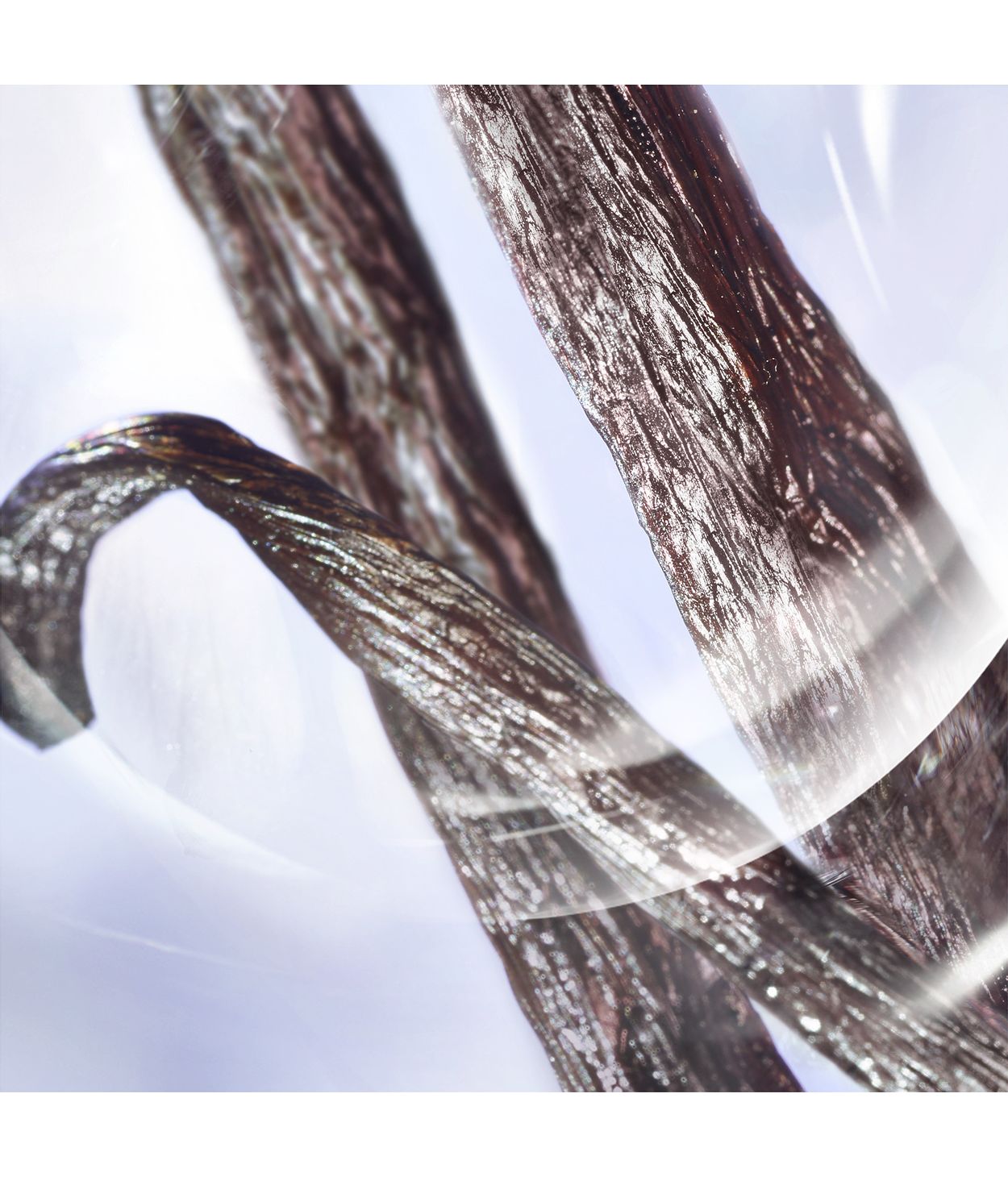 LANCOME La vie est Belle Iris Absolu Eau de Parfum