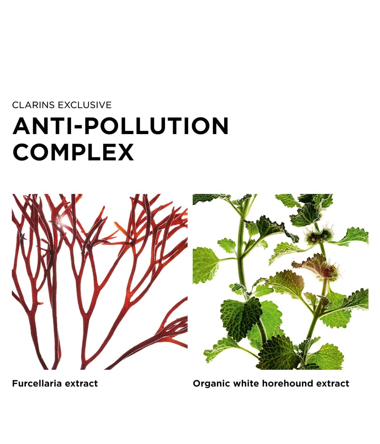 CLARINS UV Plus Anti- Pollution SPF50