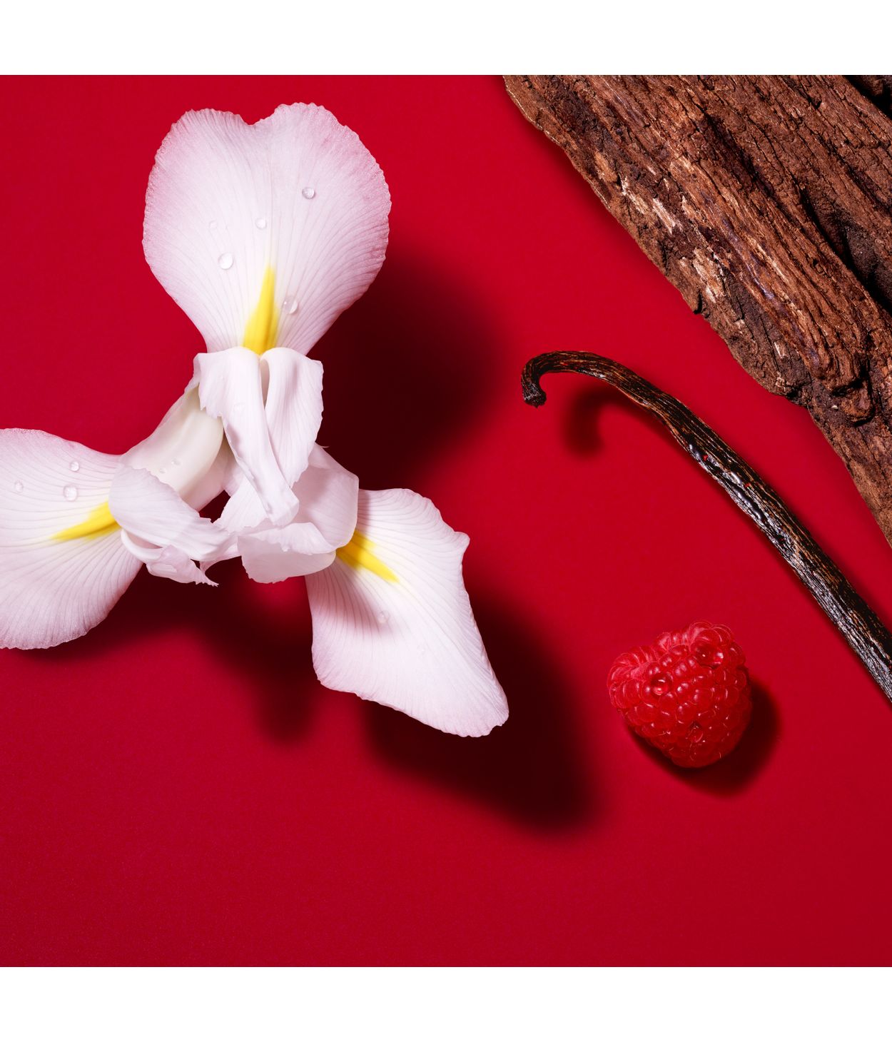 Armani Sí Passione Red Bloom Edp 50ml