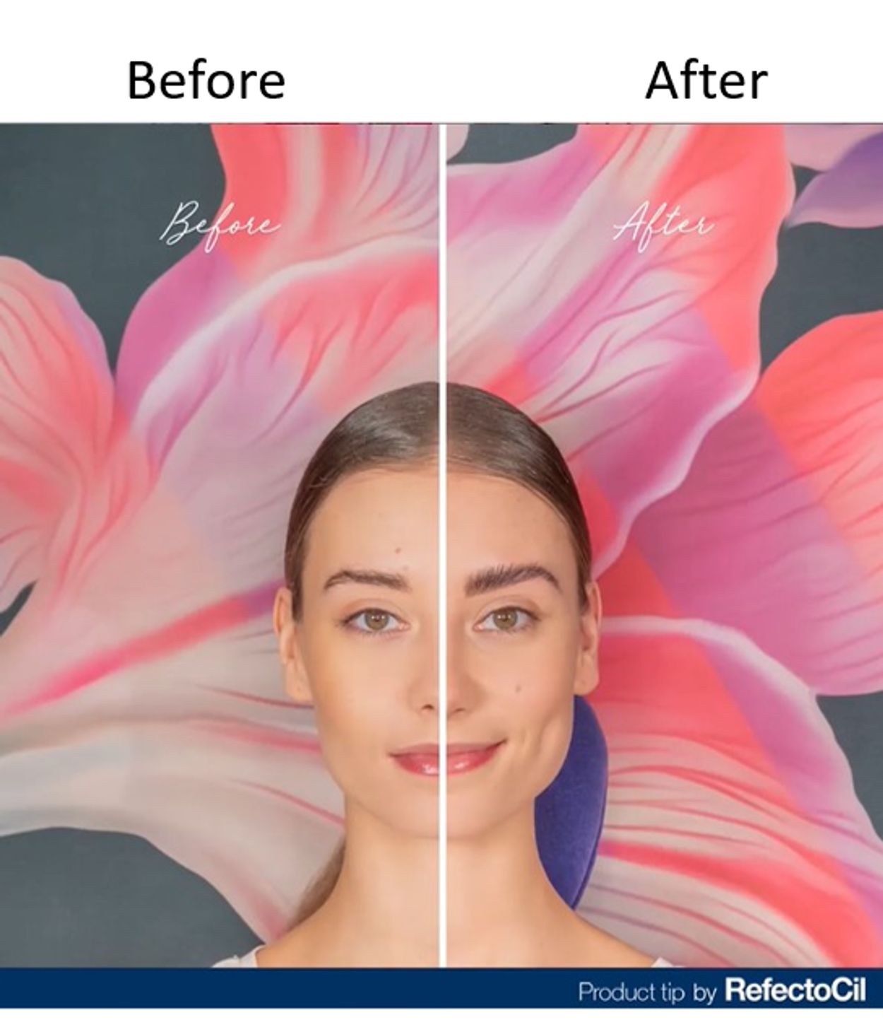 RefectoCil Brow Lamination Kit