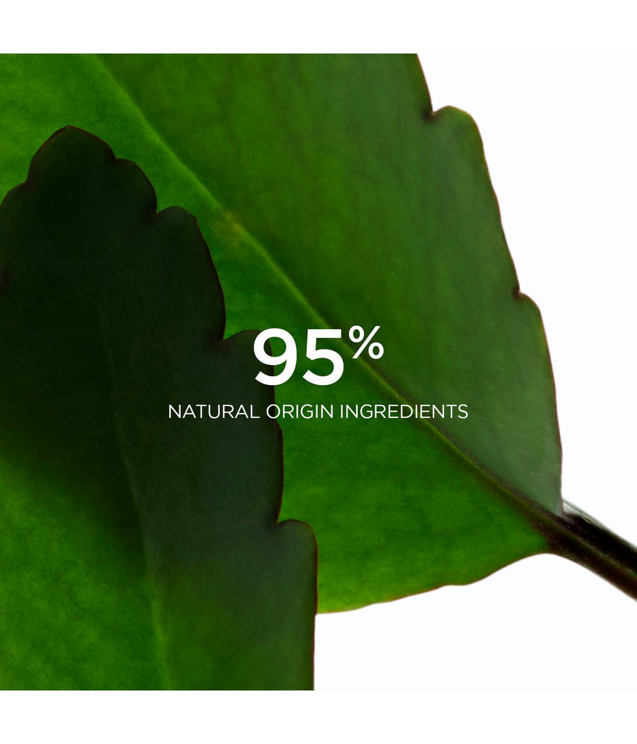 CLARINS Fresh Scrub 50ml