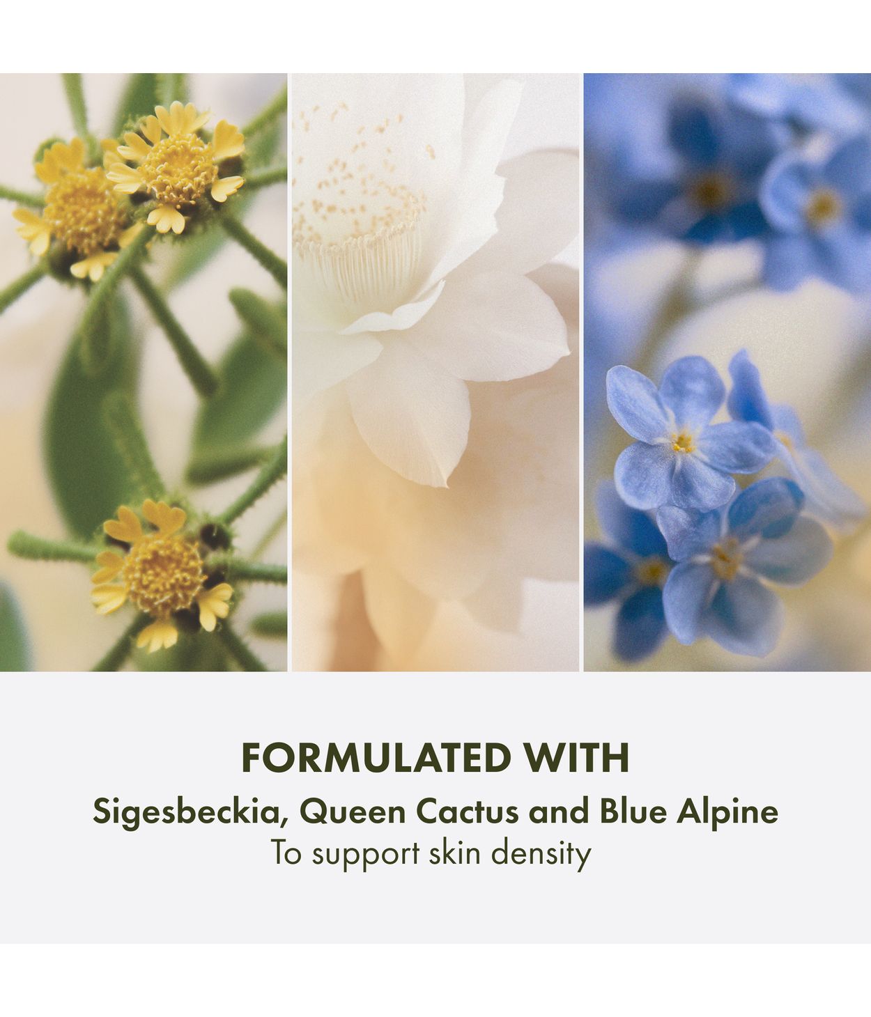 ORIGINS Plantscript Triple Act. Youth Cream 50ml