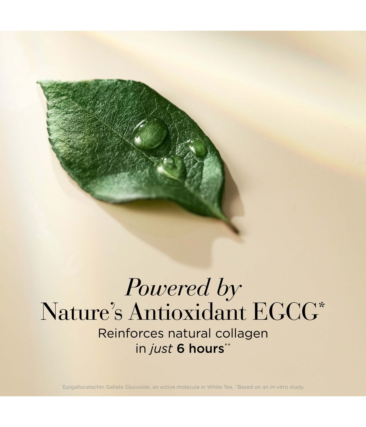 Elizabeth Arden WT Skin Solution Eye Gel 15ml