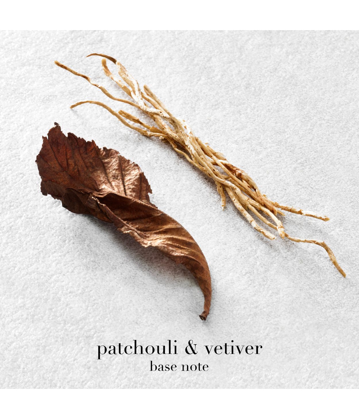 Armani Acqua di Giò Eau de Parfum