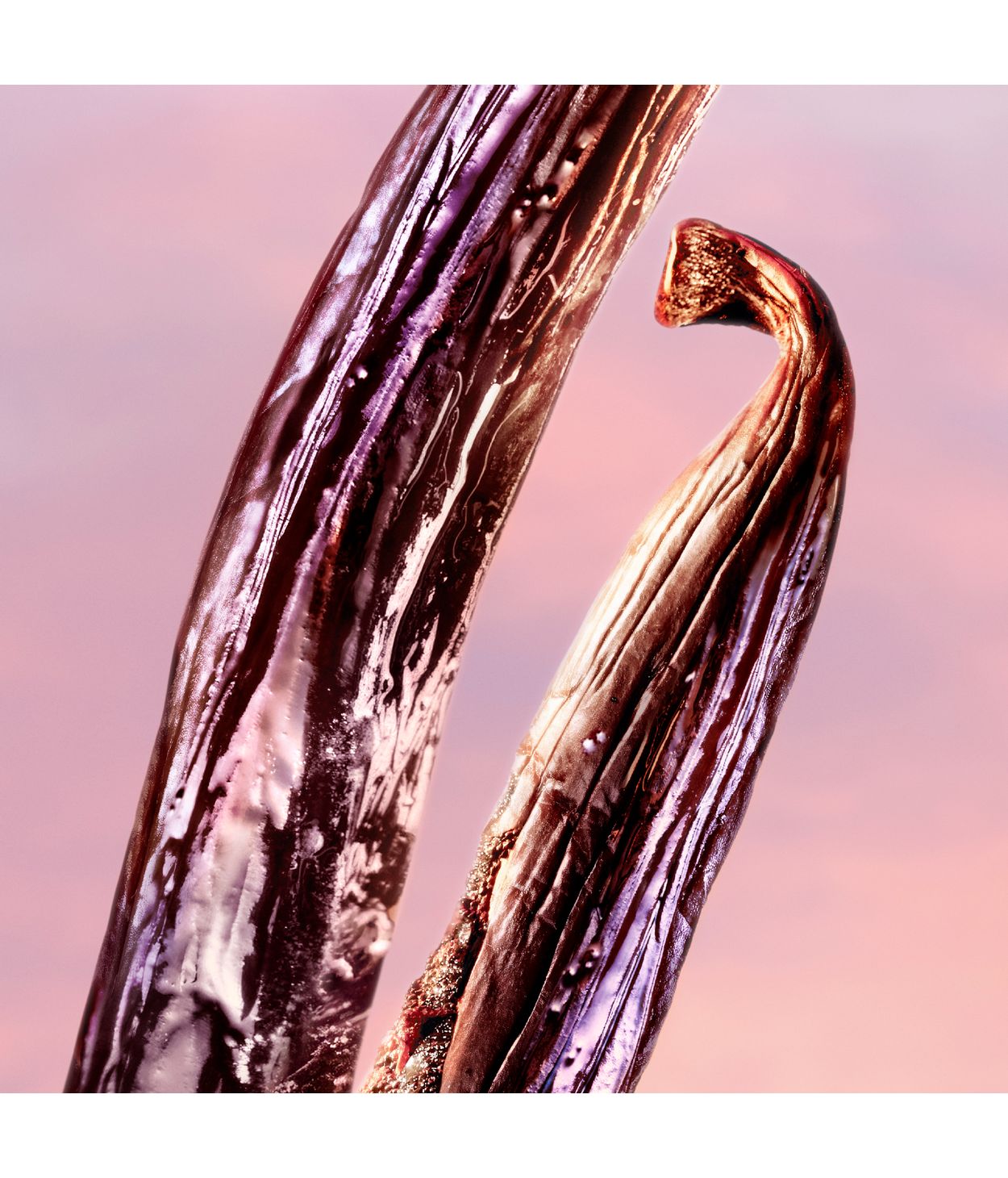 LANCOME La Vie Est Belle Vanille Nude EDP