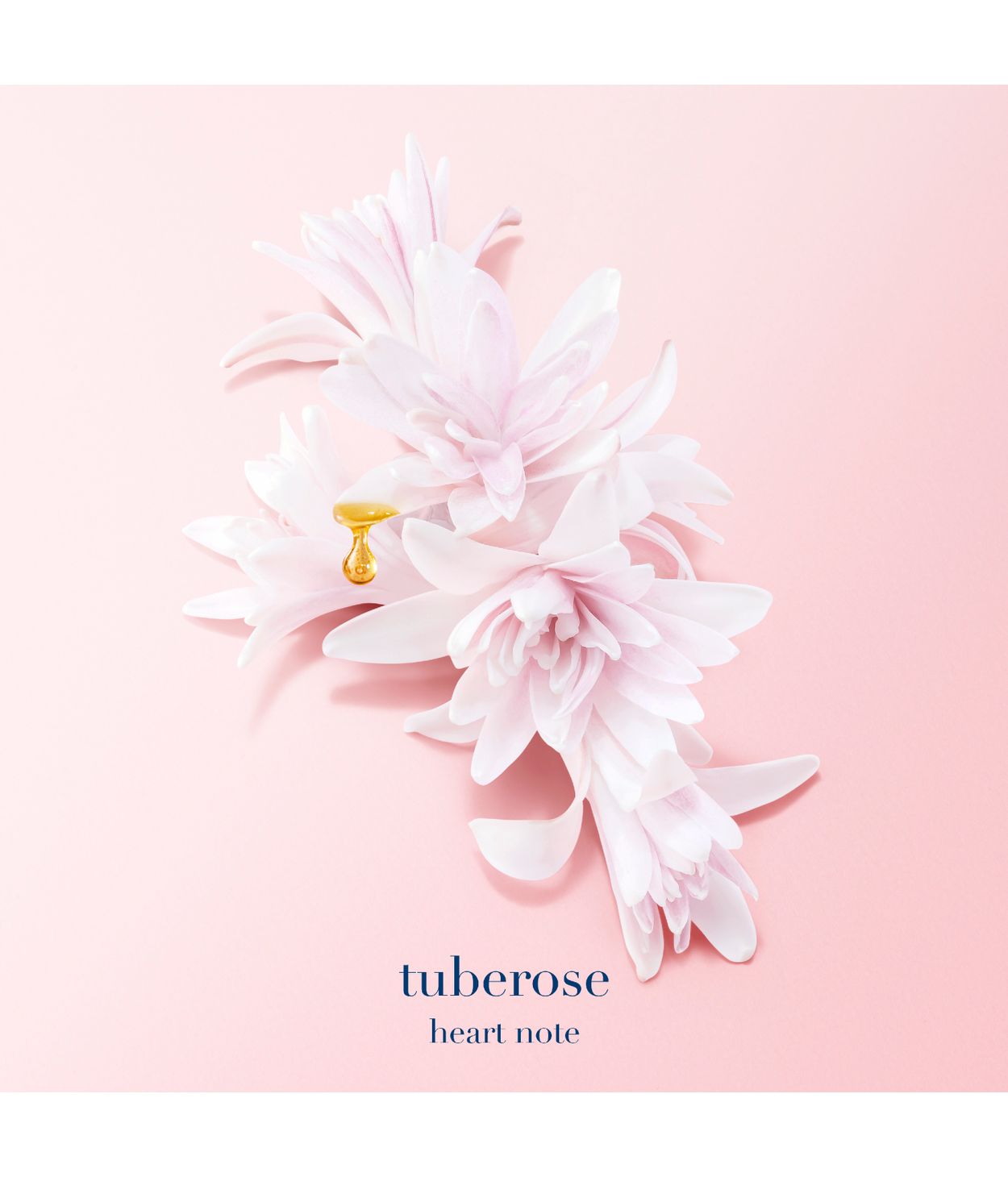 Armani My Way Eau de Parfum Nectar 