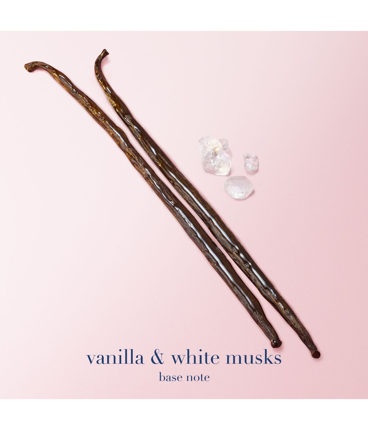 Armani My Way Eau de Parfum Nectar 