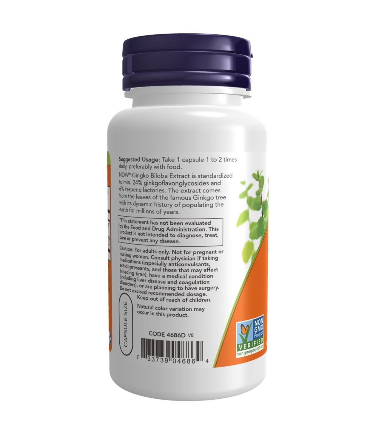 NOW Ginko Biloba 60mg 60stk
