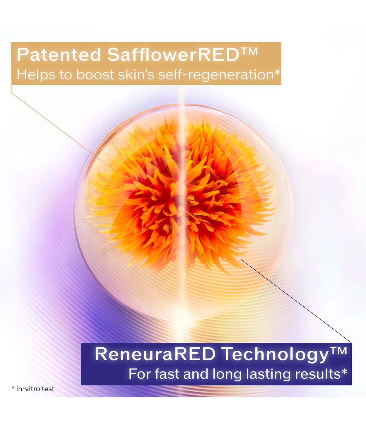 SHISEIDO VPN Overnight Firming Cream 50ml